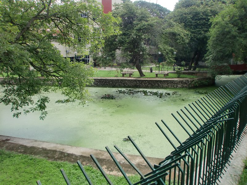 India Trip - July 2010 135.jpg